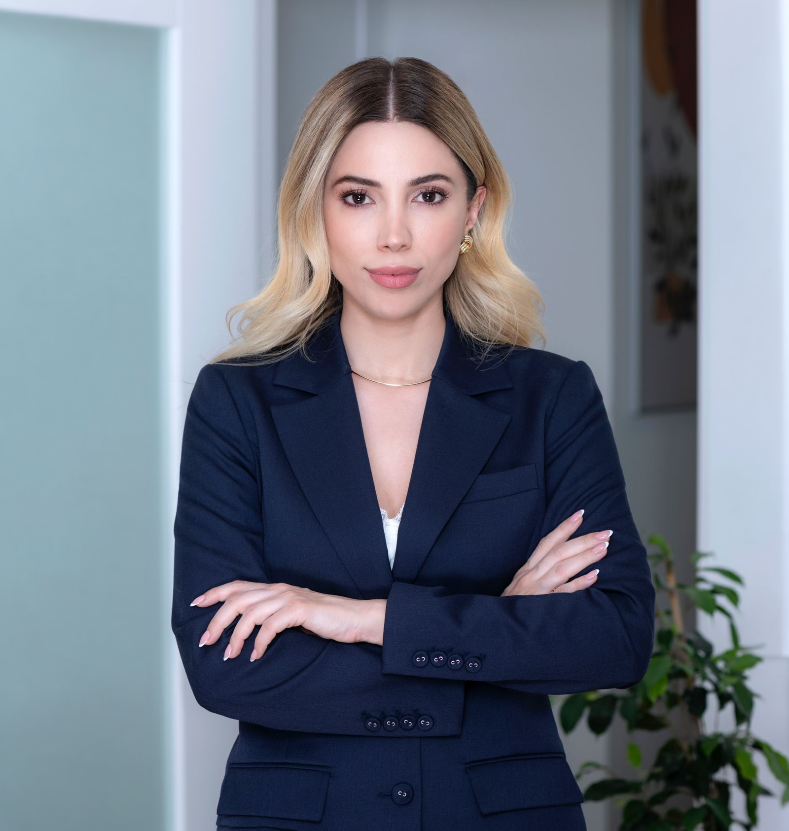 Av. Berfin Aksoy Hukuk Bürosu